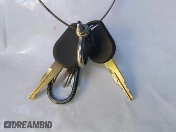 ✅ 2009 Ford F-250 XL • VIN: 1FTSW21519EA51858 • Lot: 43359301. Wystawiony na IAAI z przebiegiem 110 137 mil. Bezpłatny archiwum sprzedaży aukcyjnych z USA i szczegółowy raport historii pojazdu na DreamBid. Zdjęcie 11.