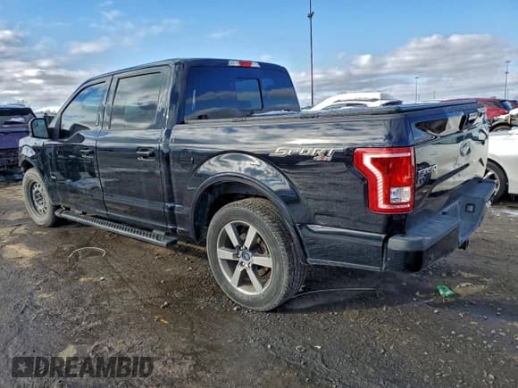 ✅ 2016 Ford F-150 XLT • VIN: 1FTEW1EP6GFC33159 • Лот: 95859255. Опубликован ранее на Copart с пробегом 198 815 миль. Бесплатный доступ к архиву аукционных продаж из США и подробный отчёт об истории автомобиля на DreamBid. Изображение 2.