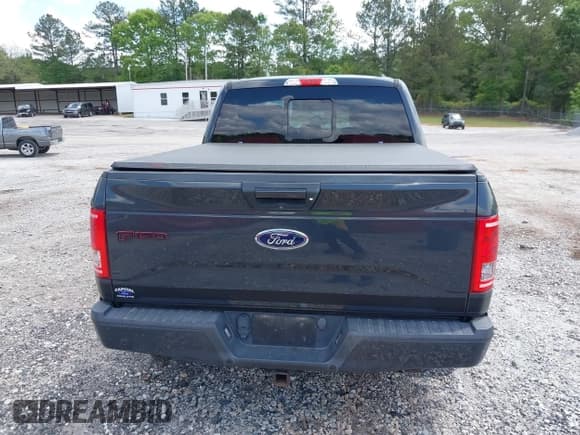 ✅ 2016 Ford F-150 XLT • VIN: 1FTEW1EGXGFD42191 • Lot: 42077965. Listed on IAAI with 113,053 mi. Free auction sales archive from the USA and detailed vehicle history report at DreamBid. Image 16.