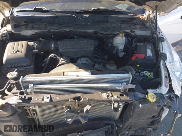 ✅ 2009 Dodge 1500 SLT • VIN: 1D3HB18P49S798757 • Lot: 43627632. Listed on IAAI with 233,853 mi. Free auction sales archive from the USA and detailed vehicle history report at DreamBid. Image 10.