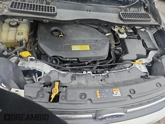 ✅ 2013 Ford Escape SE • VIN: 1FMCU9GX5DUD66443 • Lot: 58866685. Wystawiony na Copart z przebiegiem 98 082 mil. Bezpłatny archiwum sprzedaży aukcyjnych z USA i szczegółowy raport historii pojazdu na DreamBid. Zdjęcie 7.