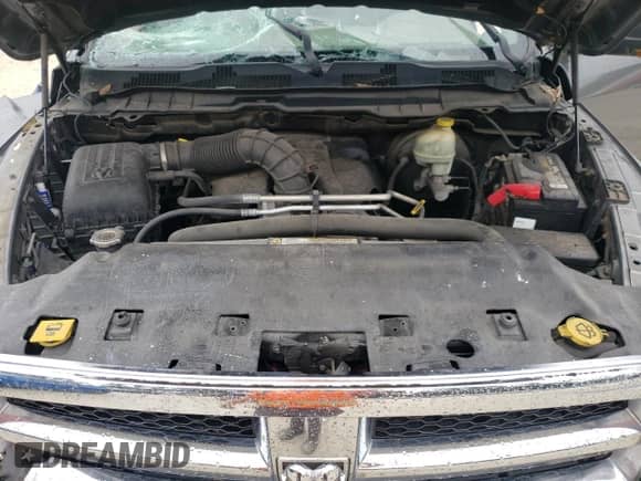 2009 Dodge 1500 SLT с VIN 1D3HB18T39S710391, выставлен на аукционе Copart как лот 74769534 с пробегом 244 310 миль миль и Списание • Salvage title. История ставок и продаж доступна на DreamBid. Изображение 13.