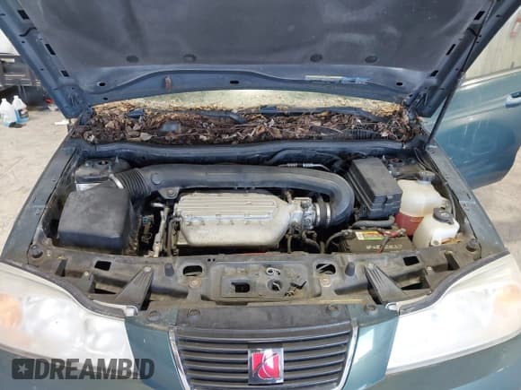 ✅ 2006 Saturn VUE • VIN: 5GZCZ63496S859197 • Lot: 41466010. Wystawiony na IAAI z przebiegiem 180 361 mil. Bezpłatny archiwum sprzedaży aukcyjnych z USA i szczegółowy raport historii pojazdu na DreamBid. Zdjęcie 10.