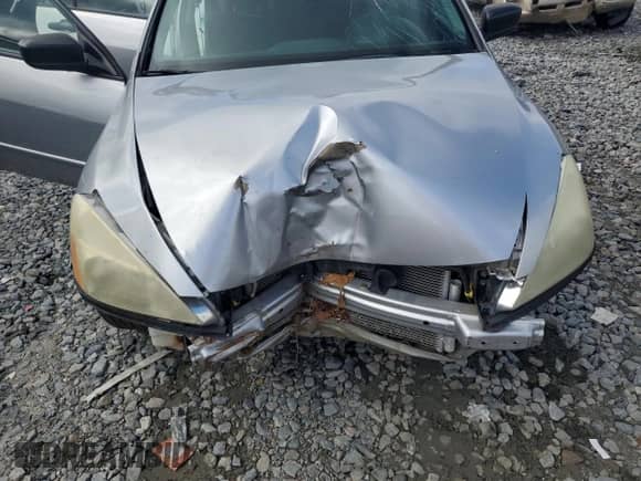 2006 Honda Accord VP with VIN 1HGCM56106A050240, listed as a Copart auction lot 67671375 with Not provided miles and Salvage title. Bid and sale history available at DreamBid. Image 11.