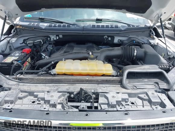 ✅ 2019 Ford F-150 XL • VIN: 1FTEW1E43KFA53619 • Lot: 42699746. Listed on IAAI with 117,476 mi. Free auction sales archive from the USA and detailed vehicle history report at DreamBid. Image 10.