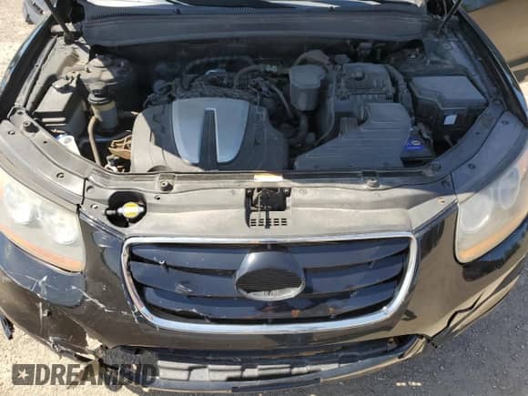 2010 Hyundai Santa Fe GL with VIN 5NMSGDAG6AH376713, listed as a Copart auction lot 69019845 with 220,952 mi miles and Salvage title. Bid and sale history available at DreamBid. Image 12.