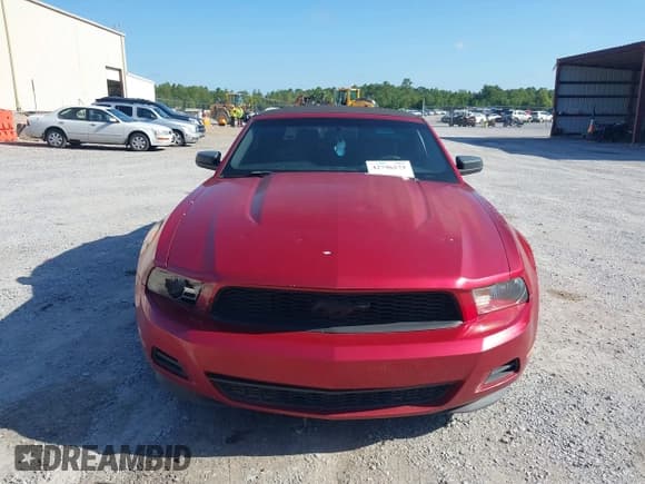 ✅ 2012 Ford Mustang V6 • VIN: 1ZVBP8EM8C5237256 • Лот: 42796573. Опубликован ранее на IAAI с пробегом 216 467 миль. Бесплатный доступ к архиву аукционных продаж из США и подробный отчёт об истории автомобиля на DreamBid. Изображение 12.