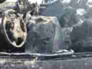 2006 Chevrolet Corvette with VIN 1G1YY25U165118582, listed as a Copart auction lot 69006234 with Not provided miles and Salvage title. Bid and sale history available at DreamBid. Image 7.