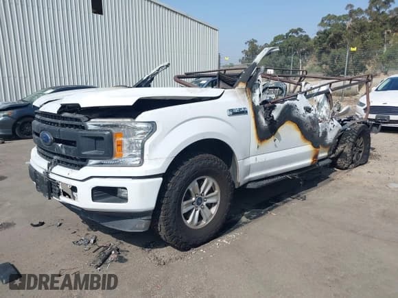 ✅ 2019 Ford F-150 XL • VIN: 1FTEX1CB3KKD64781 • Lot: 42498619. Listed on IAAI with Not provided. Free auction sales archive from the USA and detailed vehicle history report at DreamBid. Image 2.