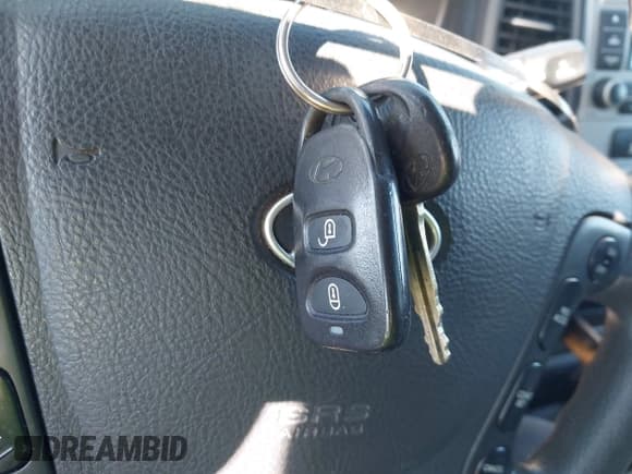 ✅ 2008 Hyundai Santa Fe GLS • VIN: 5NMSG73D68H198784 • Lot: 43586655. Listed on IAAI with 230,264 mi. Free auction sales archive from the USA and detailed vehicle history report at DreamBid. Image 11.