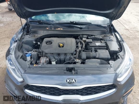 ✅ 2020 Kia Forte FE • VIN: 3KPF24AD8LE243029 • Lot: 41882715. Listed on IAAI with 33,749 mi. Free auction sales archive from the USA and detailed vehicle history report at DreamBid. Image 10.