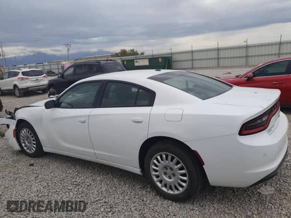 2018 Dodge Charger Police z VIN 2C3CDXKT8JH295495, wystawiony jako Copart lot #70563105 z przebiegiem 133 185 mil mil oraz Szkoda całkowita • Salvage title. Historia ofert i sprzedaży dostępna na DreamBid. Obrazek 2.