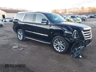 ✅ 2017 Cadillac Escalade Luxury • VIN: 1GYS4BKJ0HR252427 • Lot: 43855575. Listed on IAAI with 34,933 mi. Free auction sales archive from the USA and detailed vehicle history report at DreamBid. Image 1.