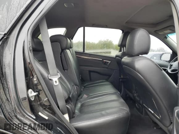 ✅ 2008 Hyundai Santa Fe SE • VIN: 5NMSH13EX8H211040 • Lot: 79429974. Listed on Copart with 133,207 mi. Free auction sales archive from the USA and detailed vehicle history report at DreamBid. Image 11.