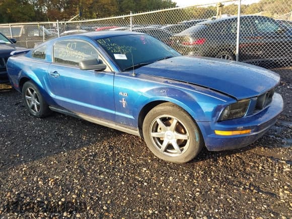 ✅ 2006 Ford Mustang Standard • VIN: 1ZVFT80N065219920 • Lot: 43519119. Wystawiony na IAAI z przebiegiem Nie podano. Bezpłatny archiwum sprzedaży aukcyjnych z USA i szczegółowy raport historii pojazdu na DreamBid. Zdjęcie 1.