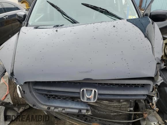 ✅ 2005 Honda Pilot EX-L • VIN: 2HKYF18785H548329 • Lot: 61360055. Listed on Copart with Not provided. Free auction sales archive from the USA and detailed vehicle history report at DreamBid. Image 12.