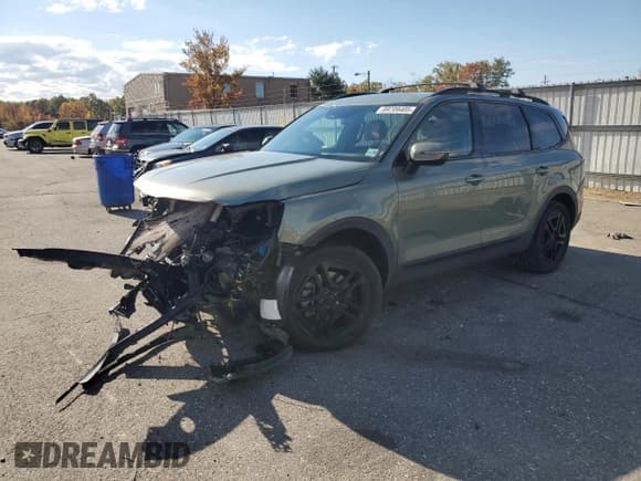 ✅ 2025 Kia Telluride EX X-Line • VIN: 5XYP3DGC3SG576949 • Lot: 89709405. Listed on Copart with 19,023 mi. Free auction sales archive from the USA and detailed vehicle history report at DreamBid. Image 1.