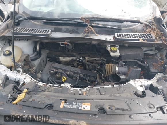 ✅ 2017 Ford Escape S • VIN: 1FMCU0F76HUC30910 • Lot: 43405742. Listed on IAAI with 160,138 mi. Free auction sales archive from the USA and detailed vehicle history report at DreamBid. Image 10.