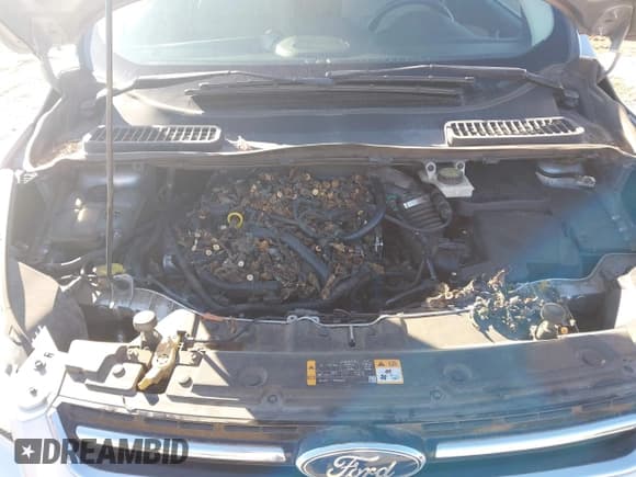 ✅ 2013 Ford Escape SEL • VIN: 1FMCU0HX0DUB70825 • Лот: 43821009. Опубликован ранее на IAAI с пробегом 137 363 миль. Бесплатный доступ к архиву аукционных продаж из США и подробный отчёт об истории автомобиля на DreamBid. Изображение 10.