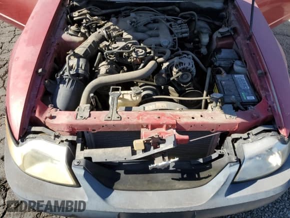 ✅ 2001 Ford Mustang Standard • VIN: 1FAFP40481F221849 • Lot: 91284285. Wystawiony na Copart z przebiegiem 110 389 mil. Bezpłatny archiwum sprzedaży aukcyjnych z USA i szczegółowy raport historii pojazdu na DreamBid. Zdjęcie 11.