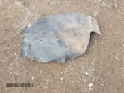 ✅ 2010 Ford Mustang V6 • VIN: 1ZVBP8EN7A5115798 • Lot: 43537903. Listed on IAAI with 97,585 mi. Free auction sales archive from the USA and detailed vehicle history report at DreamBid. Image 12.