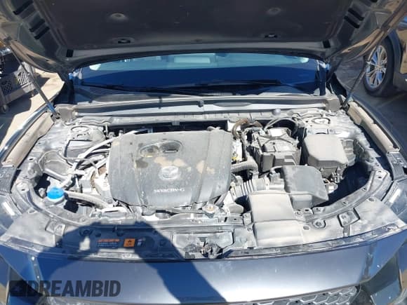 ✅ 2024 Mazda CX-50 S Select • VIN: 7MMVABAM3RN219258 • Лот: 43496128. Опубликован ранее на IAAI с пробегом 21 231 миль. Бесплатный доступ к архиву аукционных продаж из США и подробный отчёт об истории автомобиля на DreamBid. Изображение 10.