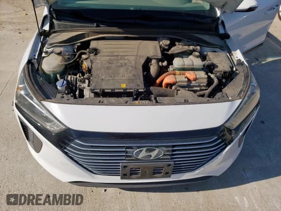 ✅ 2019 Hyundai Ioniq SEL • VIN: KMHC75LCXKU112520 • Lot: 54106345. Wystawiony na Copart z przebiegiem 119 965 mil. Bezpłatny archiwum sprzedaży aukcyjnych z USA i szczegółowy raport historii pojazdu na DreamBid. Zdjęcie 11.