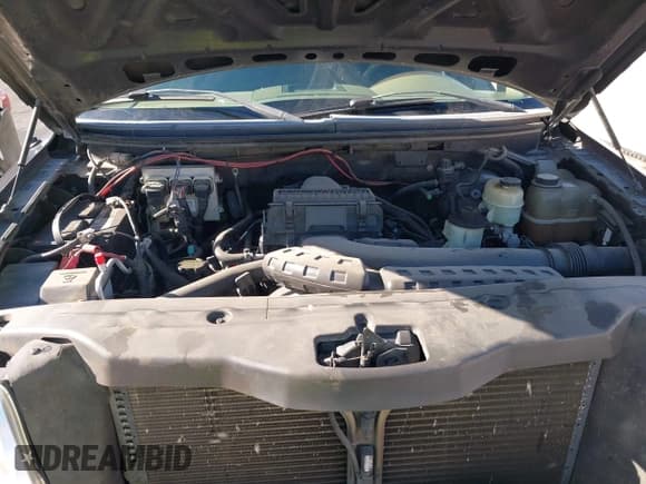 ✅ 2005 Ford F-150 XLT • VIN: 1FTPX12525FB43402 • Lot: 42025311. Wystawiony na IAAI z przebiegiem 210 220 mil. Bezpłatny archiwum sprzedaży aukcyjnych z USA i szczegółowy raport historii pojazdu na DreamBid. Zdjęcie 10.