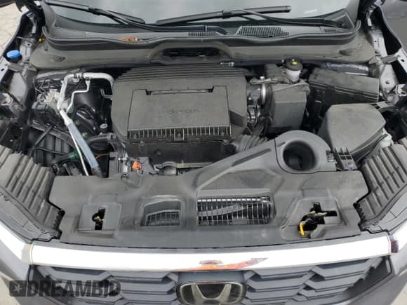 ✅ 2025 Honda Pilot EX-L • VIN: 5FNYG1H41SB019897 • Lot: 84043995. Listed on Copart with 14,330 mi. Free auction sales archive from the USA and detailed vehicle history report at DreamBid. Image 12.