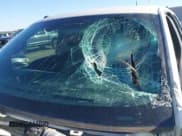 ✅ 2013 Ford F-150 XLT • VIN: 1FTFW1CF1DFA52951 • Лот: 43665186. Опубликован ранее на IAAI с пробегом 261 155 миль. Бесплатный доступ к архиву аукционных продаж из США и подробный отчёт об истории автомобиля на DreamBid. Изображение 18.