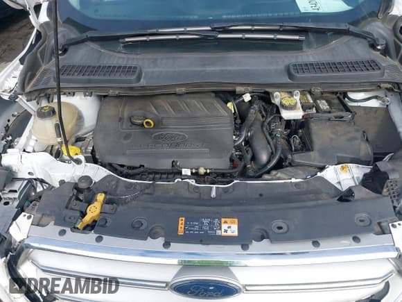 ✅ 2018 Ford Escape SE • VIN: 1FMCU0GD2JUC26931 • Лот: 43420830. Опубликован ранее на IAAI с пробегом 165 422 миль. Бесплатный доступ к архиву аукционных продаж из США и подробный отчёт об истории автомобиля на DreamBid. Изображение 10.