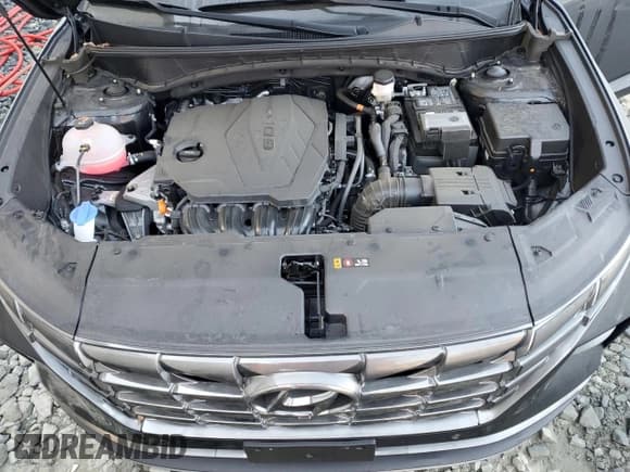 ✅ 2024 Hyundai Tucson Limited • VIN: 5NMJECDE2RH347534 • Lot: 78233474. Wystawiony na Copart z przebiegiem 19 107 mil. Bezpłatny archiwum sprzedaży aukcyjnych z USA i szczegółowy raport historii pojazdu na DreamBid. Zdjęcie 12.