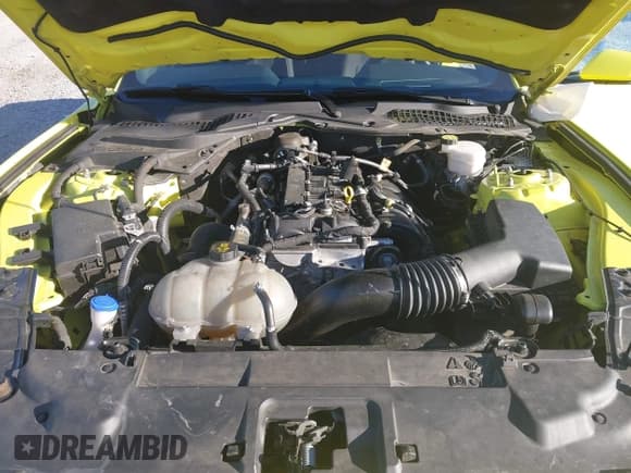 ✅ 2021 Ford Mustang EcoBoost • VIN: 1FA6P8TH7M5138509 • Lot: 43446238. Wystawiony na IAAI z przebiegiem 60 699 mil. Bezpłatny archiwum sprzedaży aukcyjnych z USA i szczegółowy raport historii pojazdu na DreamBid. Zdjęcie 10.