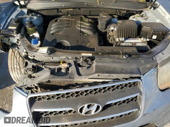 ✅ 2009 Hyundai Santa Fe Limited • VIN: 5NMSH13E89H280794 • Lot: 77982604. Listed on Copart with Not provided. Free auction sales archive from the USA and detailed vehicle history report at DreamBid. Image 12.