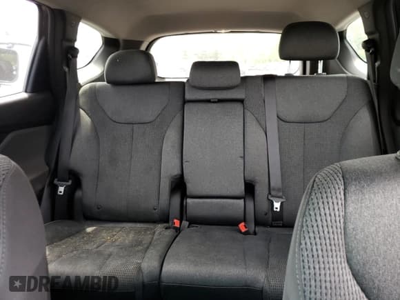 ✅ 2020 Hyundai Santa Fe SEL • VIN: 5NMS3CADXLH221631 • Lot: 51143703. Wystawiony na Copart z przebiegiem 79 186 mil. Bezpłatny archiwum sprzedaży aukcyjnych z USA i szczegółowy raport historii pojazdu na DreamBid. Zdjęcie 10.