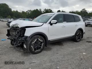 ✅ 2023 Kia Telluride EX • VIN: 5XYP34GC2PG331552 • Lot: 67786735. Listed on Copart with 75,188 mi. Free auction sales archive from the USA and detailed vehicle history report at DreamBid. Image 1.