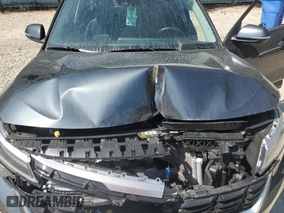 ✅ 2025 Kia Seltos EX • VIN: KNDER2AA1S7772676 • Lot: 81599225. Listed on Copart with 5,943 mi. Free auction sales archive from the USA and detailed vehicle history report at DreamBid. Image 12.