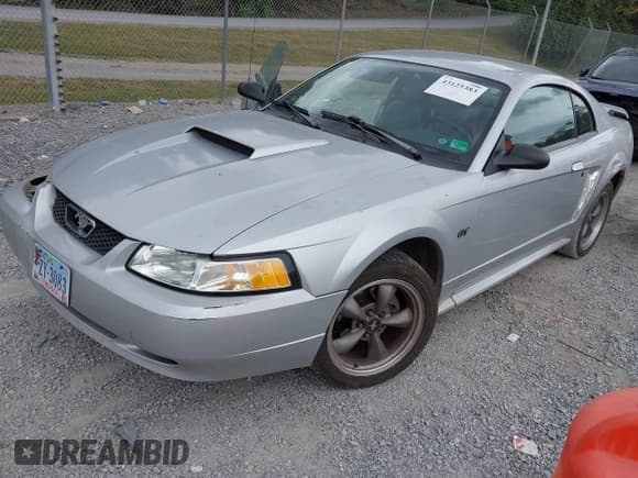 ✅ 2001 Ford Mustang GT Deluxe • VIN: 1FAFP42X31F119351 • Lot: 43125383. Wystawiony na IAAI z przebiegiem Nie podano. Bezpłatny archiwum sprzedaży aukcyjnych z USA i szczegółowy raport historii pojazdu na DreamBid. Zdjęcie 2.