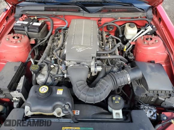 ✅ 2008 Ford Mustang GT Deluxe • VIN: 1ZVHT82H885106767 • Лот: 70813345. Опубликован ранее на Copart с пробегом 112 957 миль. Бесплатный доступ к архиву аукционных продаж из США и подробный отчёт об истории автомобиля на DreamBid. Изображение 11.