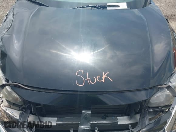 ✅ 2016 Honda Civic EX-L • VIN: 2HGFC3B79GH355219 • Лот: 42449713. Опубликован ранее на IAAI с пробегом 99 999 миль. Бесплатный доступ к архиву аукционных продаж из США и подробный отчёт об истории автомобиля на DreamBid. Изображение 10.