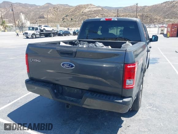 ✅ 2017 Ford F-150 XL • VIN: 1FTEW1CP6HKE19361 • Lot: 42744329. Listed on IAAI with 110,010 mi. Free auction sales archive from the USA and detailed vehicle history report at DreamBid. Image 4.