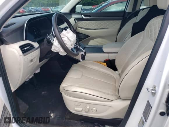 2020 Hyundai Palisade Limited с VIN KM8R54HE6LU135654, выставлен на аукционе Copart как лот 64886034 с пробегом 51 269 миль миль и Списание • Salvage title. История ставок и продаж доступна на DreamBid. Изображение 7.