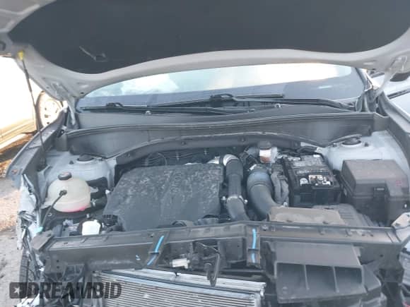 2022 Kia Sorento EX с VIN 5XYRH4LF3NG103132, выставлен на аукционе IAAI как лот 43276075 с пробегом 30 950 миль миль и . История ставок и продаж доступна на DreamBid. Изображение 10.