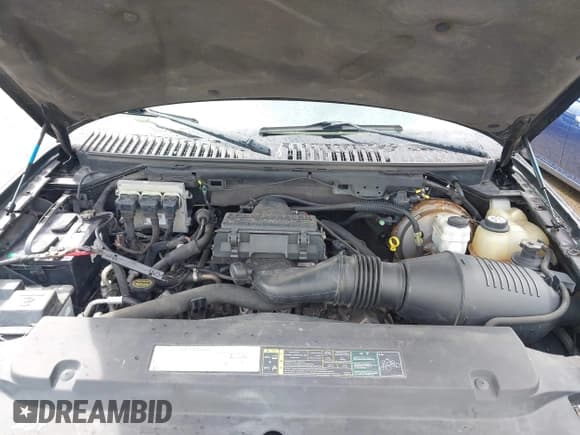 ✅ 2005 Ford Expedition Eddie Bauer • VIN: 1FMPU18535LA72174 • Lot: 41967596. Listed on IAAI with 232,312 mi. Free auction sales archive from the USA and detailed vehicle history report at DreamBid. Image 10.