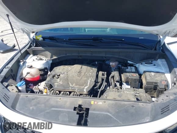 2022 Kia Sorento X-Line S with VIN 5XYRLDLC7NG145162, listed as a IAAI auction lot 42325635 with 36,492 mi miles and . Bid and sale history available at DreamBid. Image 10.