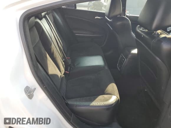 ✅ 2017 Dodge Charger Daytona 392 • VIN: 2C3CDXGJ3HH535103 • Lot: 59854605. Listed on Copart with 142,434 mi. Free auction sales archive from the USA and detailed vehicle history report at DreamBid. Image 10.