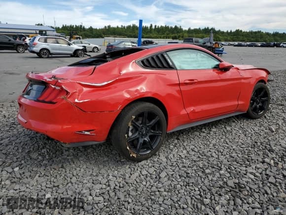 ✅ 2021 Ford Mustang EcoBoost • VIN: 1FA6P8TH1M5142149 • Lot: 81093835. Listed on Copart with Not provided. Free auction sales archive from the USA and detailed vehicle history report at DreamBid. Image 3.