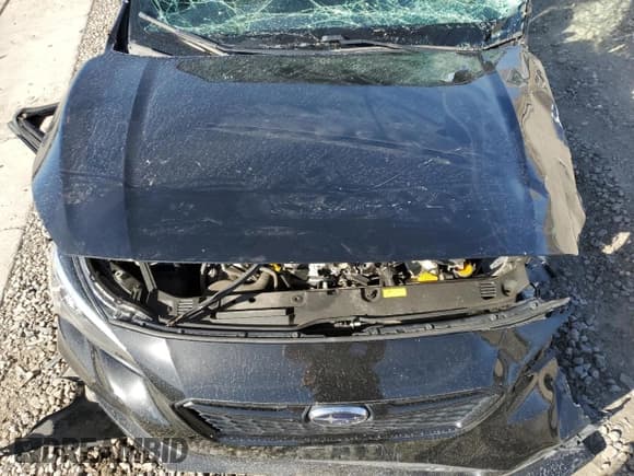 ✅ 2017 Subaru Impreza Special Sports • VIN: 4S3GTAK63H3710825 • Lot: 81582035. Listed on Copart with Not provided. Free auction sales archive from the USA and detailed vehicle history report at DreamBid. Image 11.