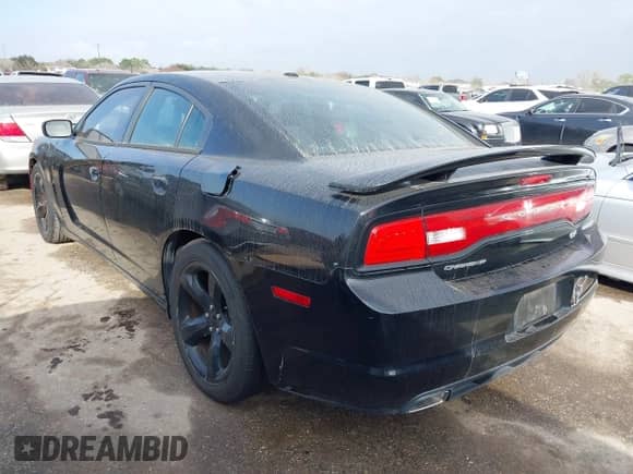 ✅ 2014 Dodge Charger RT • VIN: 2C3CDXCT7EH356453 • Lot: 41484769. Listed on IAAI with 130,225 mi. Free auction sales archive from the USA and detailed vehicle history report at DreamBid. Image 3.