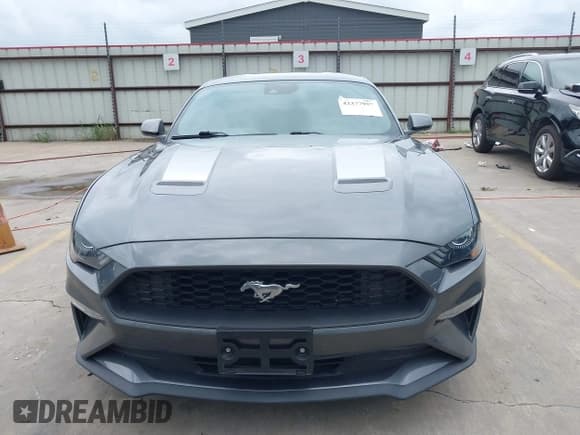 ✅ 2021 Ford Mustang EcoBoost • VIN: 1FA6P8TH9M5157062 • Lot: 42377957. Listed on IAAI with 25,997 mi. Free auction sales archive from the USA and detailed vehicle history report at DreamBid. Image 12.